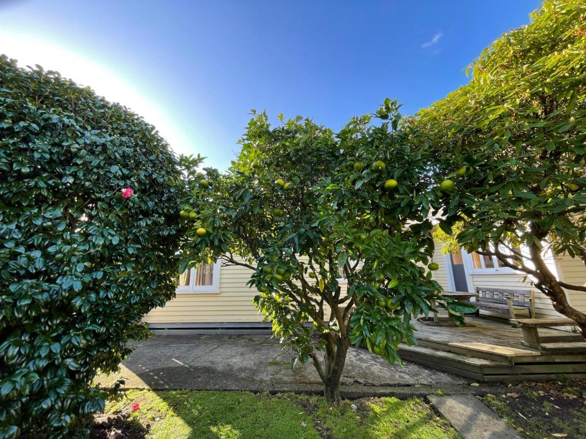 No Party Allowed, Peaceful, Spacious, Central Petone, Free Unlimited Fibre Wi-Fi & Free Parking Villa Lower Hutt Exteriör bild